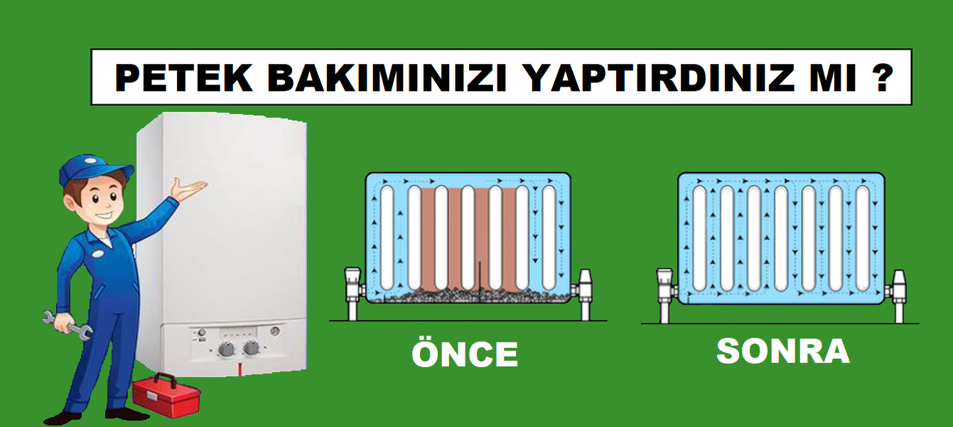 Bornova Petek Temizliği